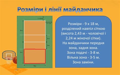 висота жіночої сітки у волейболі